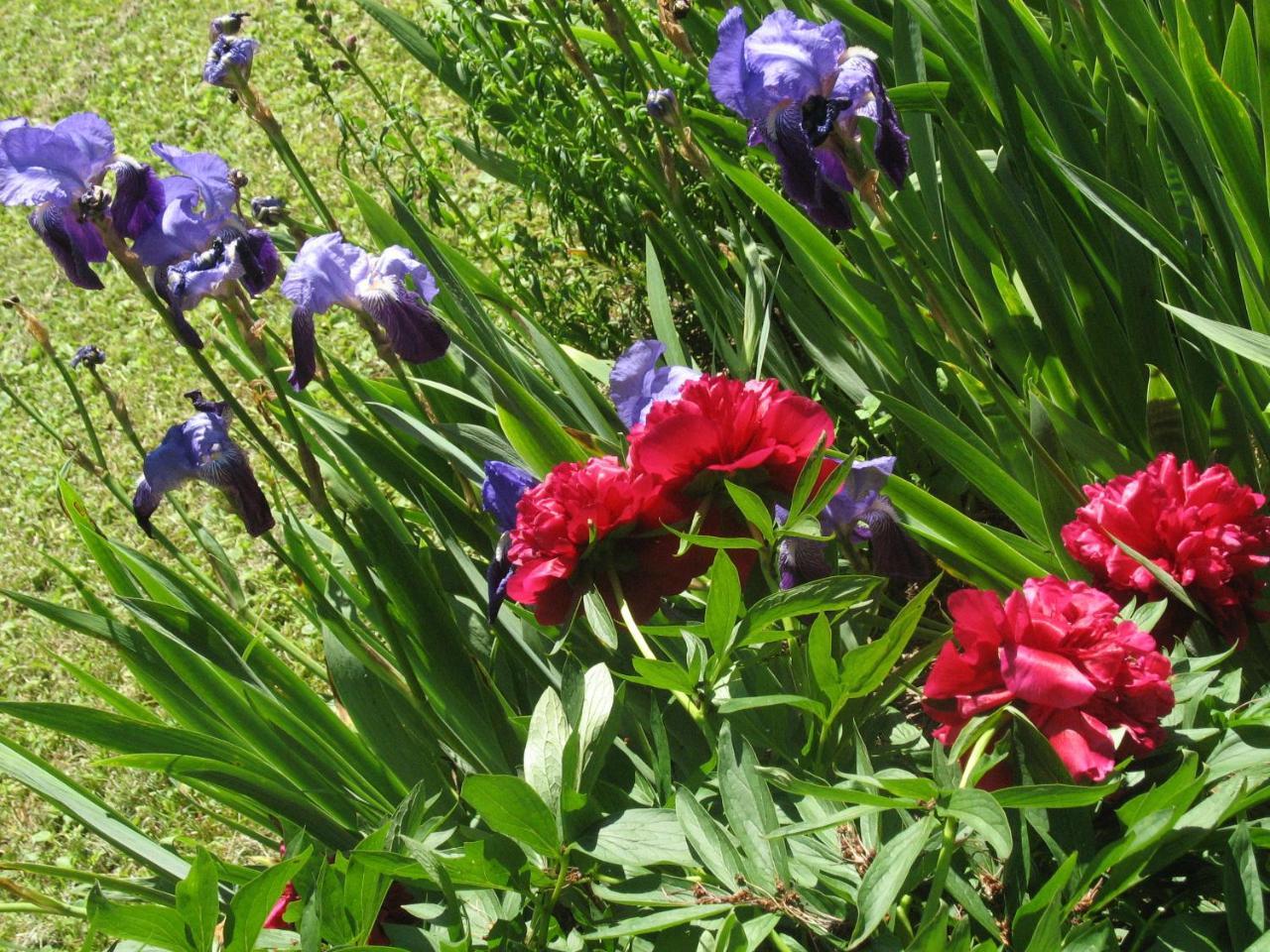 Les Jardins De La Grange Bed and Breakfast Rezonville Εξωτερικό φωτογραφία
